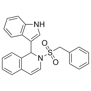 IBR2
