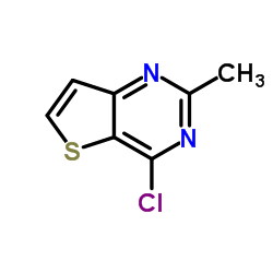 4-氯-2-甲基-噻吩[3,2-D]嘧啶