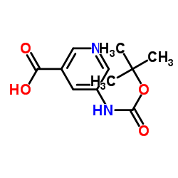 5-叔丁氧羰基氨基吡啶-3-羧酸