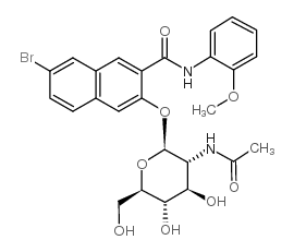 萘酚 AS-BI N-乙酰基-&beta;-D-氨基葡糖苷