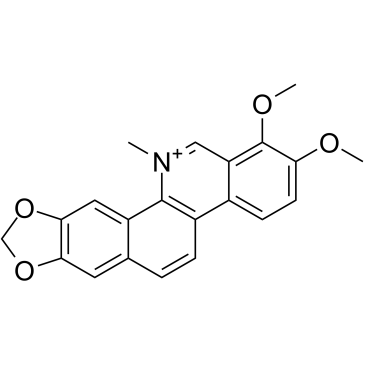 白屈菜红碱