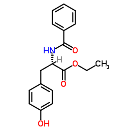 N-苯甲酰-L-酪氨酸乙酯