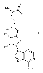 S-腺苷基-L-蛋氨碘盐