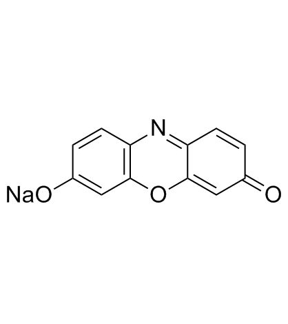 7-羟基吩噁嗪酮