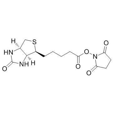 (+)-生物素 N-羟基琥珀酰亚胺酯