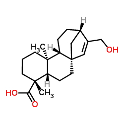 ENT-17-羟基-等效-贝壳杉-15-烯-19-酸