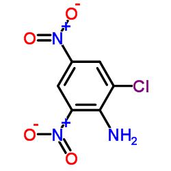 2-氯-4,6-二硝基苯胺