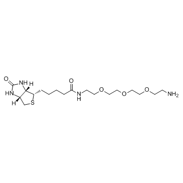 胺PEG3生物素