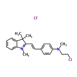 阳离子桃红FG