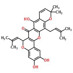 异叶波罗蜜环黄酮素