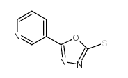 5-(3-吡啶基)-1,3,4-二唑-2-硫醇