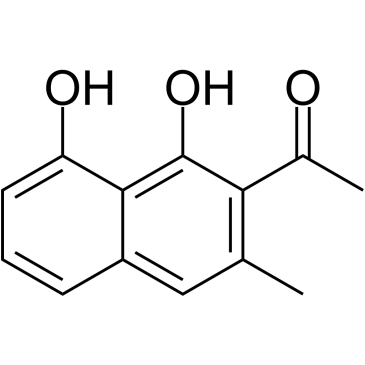 羊蹄素