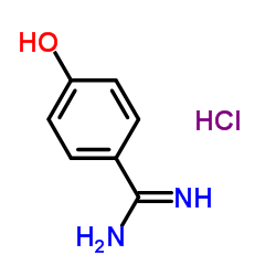 4-羟基苯甲脒盐酸盐