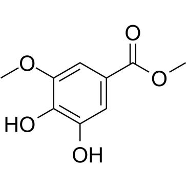 3,4-二羟基-5-甲氧基苯甲酸甲酯