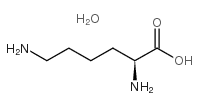 L-赖氨酸一水物