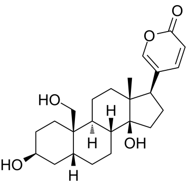 19-Hydroxybufalin