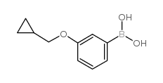 3-环丙甲氧基苯硼酸