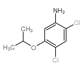 2,4-二氯-5-异丙氧基苯胺