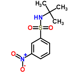 N-叔丁基-3-硝基苯磺酰胺