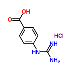 4-胍基苯甲酸盐酸盐