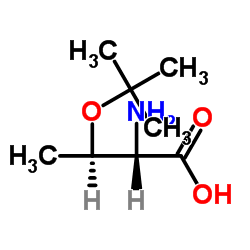 O-叔丁基-L-苏氨酸