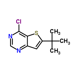 6-叔丁基-4-氯噻酚[3,2-D]嘧啶