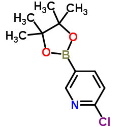 2-氯吡啶-5-硼酸频哪醇酯
