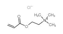 丙烯酰氧乙基三甲基氯化铵