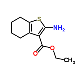 2-氨基-4,5,6,7-四氢苯并噻酚-3-羧酸乙酯