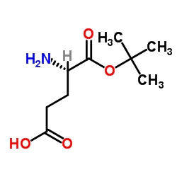 L-谷氨酸 1-叔丁酯