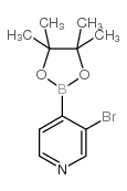 3-溴吡啶-4-硼酸频哪酯