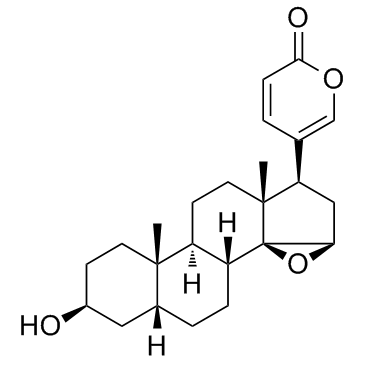 酯蟾毒配基