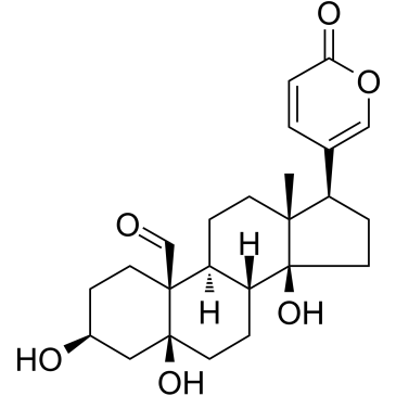 Hellebrigenin