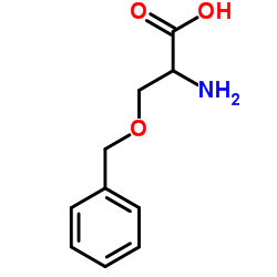 O-苄基-L-丝氨酸