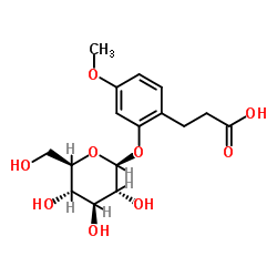2-O-BETA-D-葡糖基氧基-4-甲氧基苯丙酸
