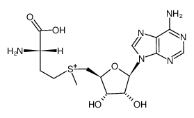 S-腺苷蛋氨酸