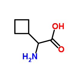L-环丁基甘氨酸