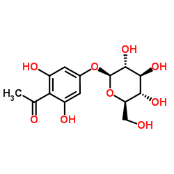 根皮乙酰苯 4-O-beta-D-吡喃葡萄糖苷