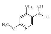 6-甲氧基-4-甲基吡啶-3-硼酸