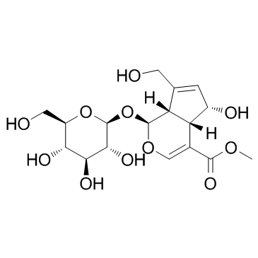 去乙酰车叶草苷酸甲酯