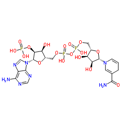 还原型辅酶II(NADPH)四钠盐