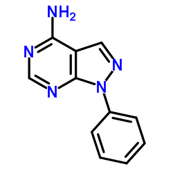 4-氨基-1-苯基吡唑[3,4-D]嘧啶
