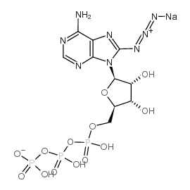 8-叠氮酰苷-5'-三磷酸钠