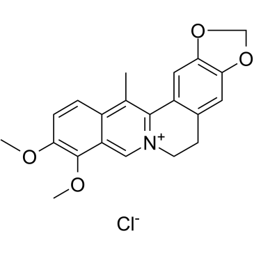 2,3-methylenedioxy-10,11-dimethoxy-13-methylprotoberberine chloride