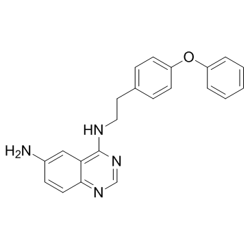 QNZ
