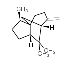 B-柏木烯