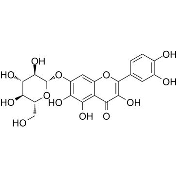 槲皮万寿菊素-7-O-β-吡喃葡萄糖苷