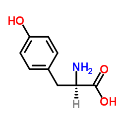 D-酪氨酸