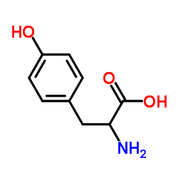 DL-酪氨酸