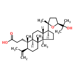 Shoreic acid